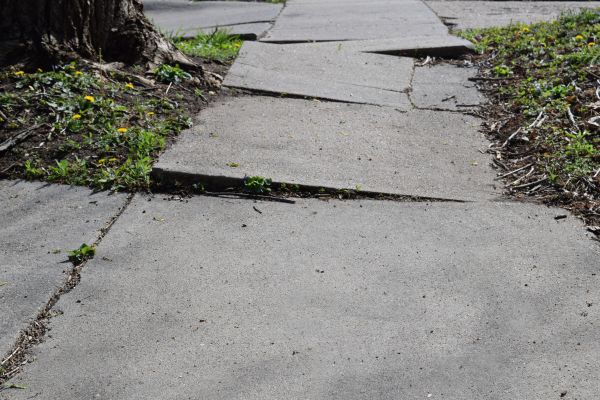 Uneven Sidewalk Repair in Raleigh